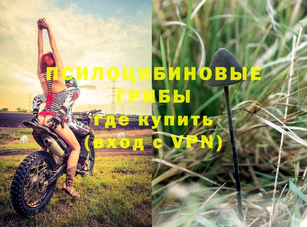 спиды Нефтекумск