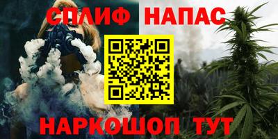 тгк Дубна