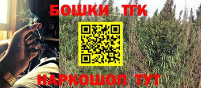 шишки Аргун