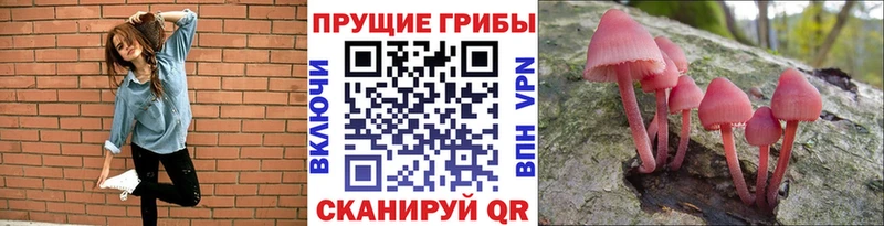 omg сайт  Кушва  Псилоцибиновые грибы Psilocybine cubensis  купить  цена 