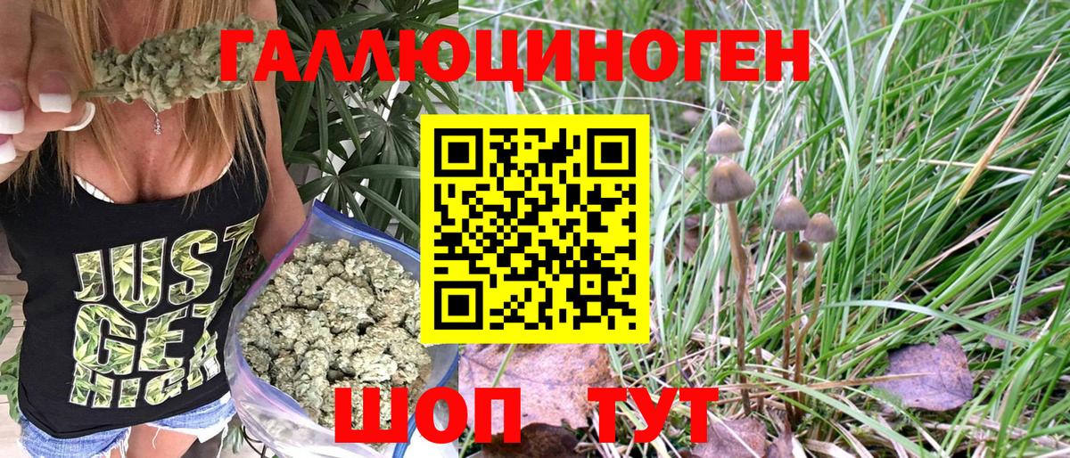 Галлюциногенные грибы Psilocybe Кушва